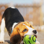 Pelota interactiva sonora para perros