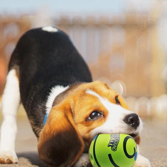 Pelota interactiva sonora para perros